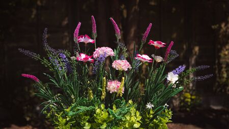 An arrangement of flowers in an English gardenの写真素材