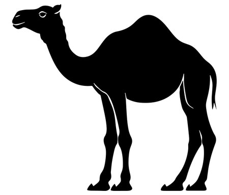 Camel in desert silhouette vectorのイラスト素材