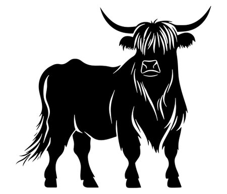 Illustration of a bull Highland cow silhouette vectorのイラスト素材