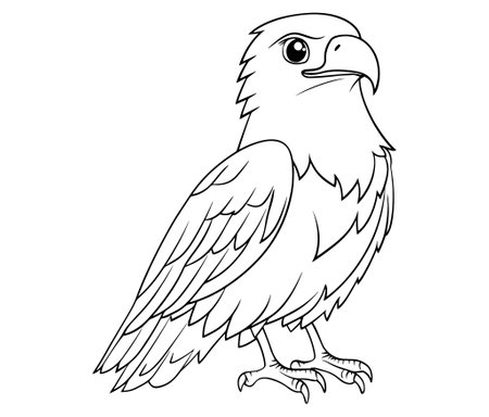 Illustration of an eagle, Hawk vector, Outline eagle vectorのイラスト素材