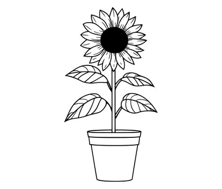 Sunflower flower outline illustration coloring book page design. Sunflower in a pot, Black and white flowerのイラスト素材