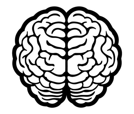 Human brain illustration, Hand drawn brain drawing illustration. Human brain icon