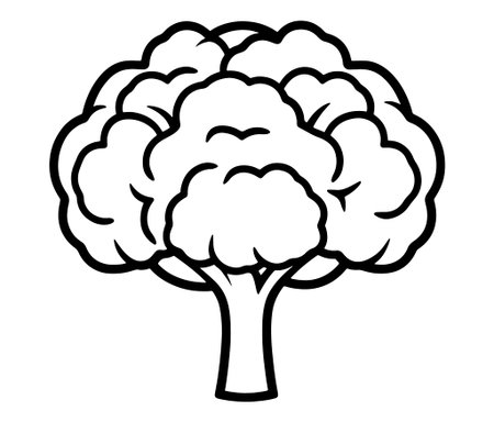 Cauliflower isolated on white, Hand drawn broccoli coloring page, Hand drawn illustration of cabbageのイラスト素材