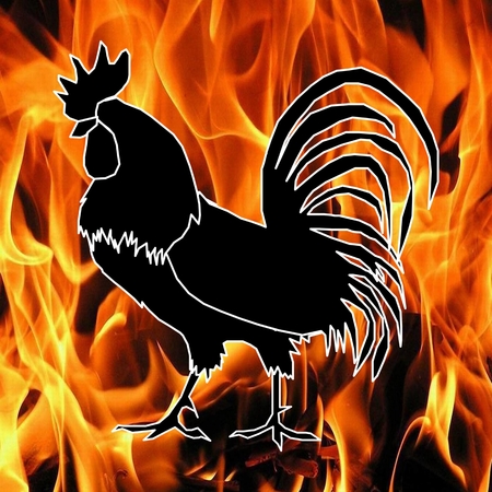 rooster. 2017 New year symbolの写真素材