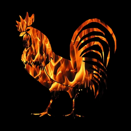 rooster. 2017 New year symbolの写真素材