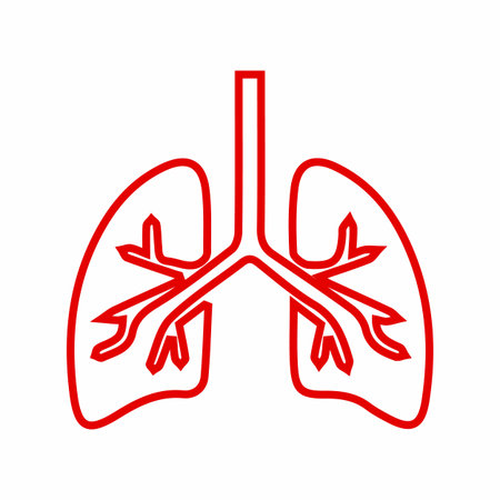 A simple, clean graphic depicting the human respiratory system, specifically the lungs and branching...