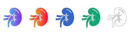 Detailed Human Kidney Organ Icons for Medical Use vol 3764
