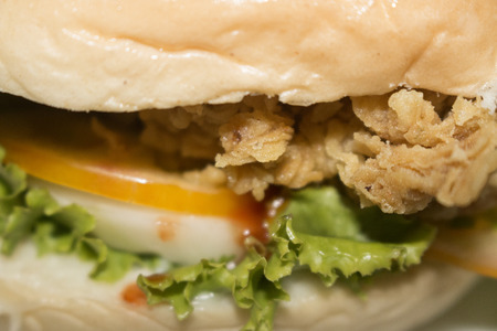 Joss Burgerの写真素材