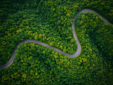 Winding mountain road through lush green forest isolated on white backgroundの素材