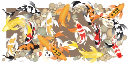 Stylized butterfly koi fish swimming in a schoolの写真素材