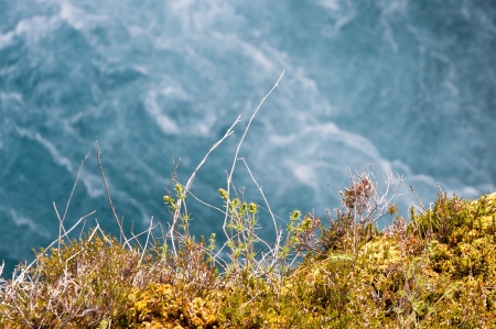 clear blue water and yellow ground of moss and grassの写真素材