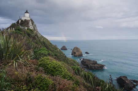 Nugget point in new zealandの写真素材