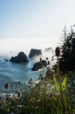 Sea stacks and wildflowers at the Oregon Coast vertical imageの写真素材