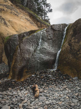 Beach waterfall at Hug Point State Park in Oregon. Vertical image.の写真素材