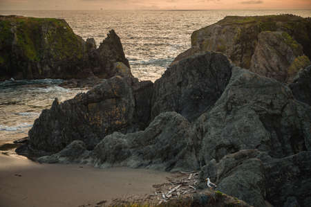 Beautiful coastal sunset scene in Oregon