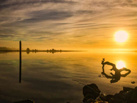 Driftwood in water of river during beautiful sunsetの写真素材