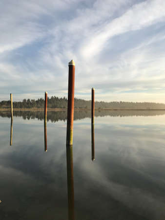 Poles reflect in glassy river water in Pacific Northwest