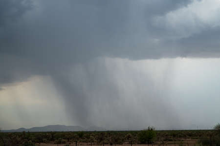 Monsoon rain downpour in Arizonaの写真素材