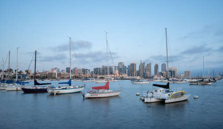Sailboats moored with the San Diego Skyline in the background at duskのeditorial素材