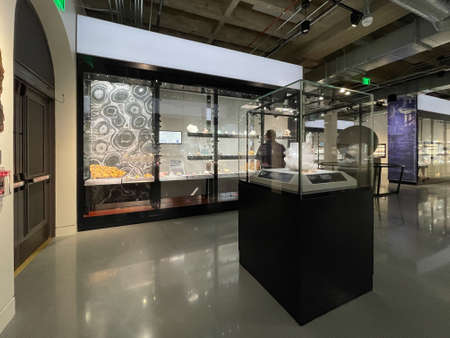 Gem and Mineral museum exhibition in Tucson, Arizona. Man looks at display.のeditorial素材
