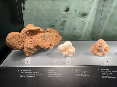 Gems, minerals and previous stones on display in a glass case at museum.のeditorial素材