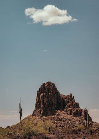 Saguaro Cactus in Arizona next to mountain with blue sky and white cloudの写真素材