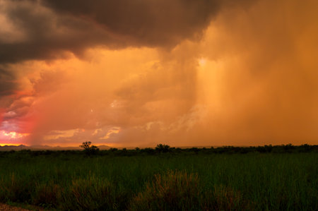 Arizona grassland with dramatic monsoon sky at sunsetの写真素材