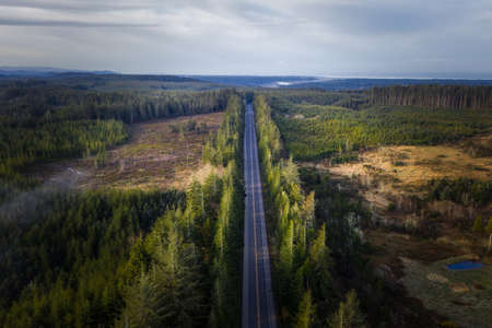 Highway 101 in Oregon, aerial view of logging clearcut area.の写真素材