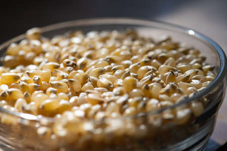 Yellow popcorn kernels in a glass bowl on a kitchen counterの写真素材