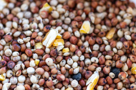 Bird food mix for small birds, top viewの写真素材
