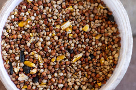 Bird food mix for small birds, top viewの写真素材