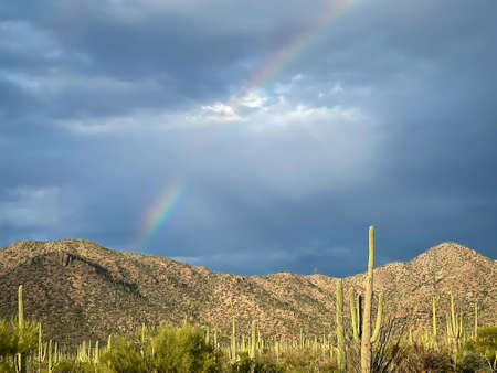 Rainbow over Tucson mountains and saguarosの写真素材