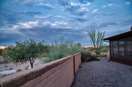 Low water use landscaping Arizona Home in Tucson.の写真素材