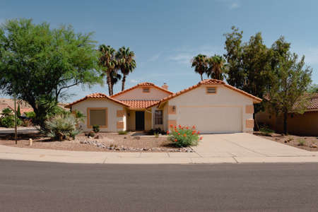 Tucson Arizona home with green trees and palm treesの写真素材