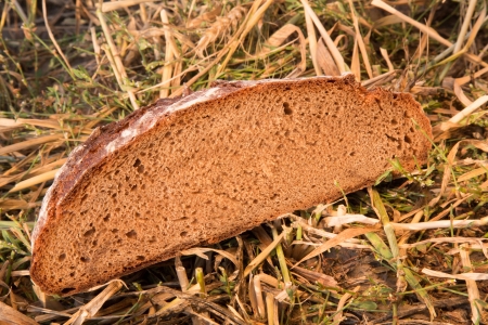 Fresh loaf of bread in the fieldの写真素材