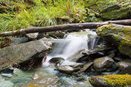 Waterfall in a tropical forest close to Rob Roy Glacier on the South Island of New Zealand の写真素材