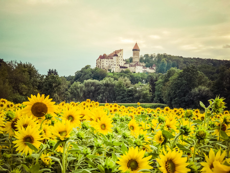 Burg Clam castle in Upper Austria, Perg im Muehlviertel.のeditorial素材