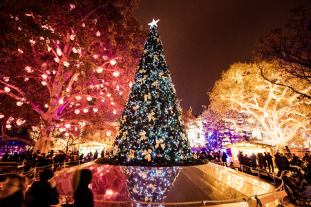 VIENNA, AUSTRIA - DECEMBER 18, 2018: Illuminated Christmas Tree at Christkindlmarkt Rathausplatz during Christmas Market Timeのeditorial素材