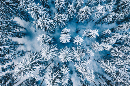 Aerial. Trees and snow in a winter forest. Nature background top view from drone.の写真素材