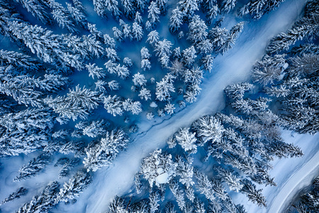 Aerial. Trees and snow in a winter forest. Nature background top view from drone.の写真素材