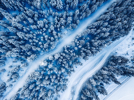 Aerial. Trees and snow in a winter forest. Nature background top view from drone.の写真素材