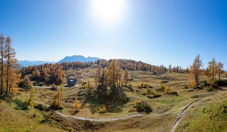 Tauplitz hiking area in the Austrian Ennstal during autumn time. Beautiful forest with colorful trees in the Alps.の写真素材