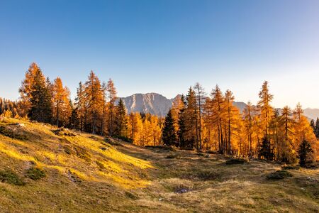 Tauplitzalm view to Grimming mountain in the Austrian Alps. Beautiful autumn scenery in the mountains.の写真素材
