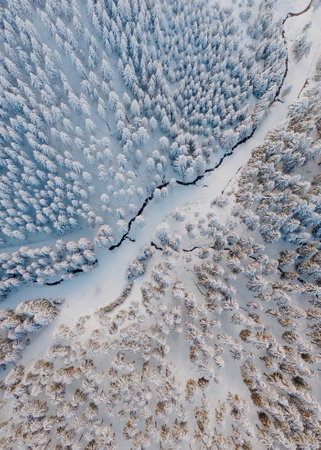 Aerial view of the forest and river at winter. Snow covered trees in the freezing cold.の写真素材