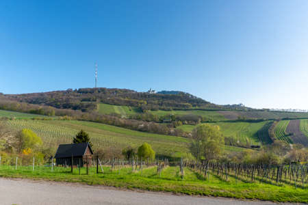 Kahlenberg in Vienna. View to the vineyards and radio station in the capital city of austria.の写真素材