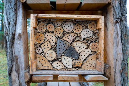 Insect hotel house in the free nature and garden. Natural home for bees and bugs.の写真素材