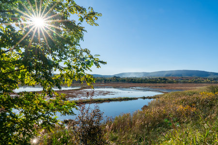 Skocjanski Zatok Nature Reserve in Koper, Sloveniaの写真素材