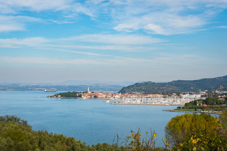 Coastal Panorama of Izola and Marina on a Clear Dayの写真素材