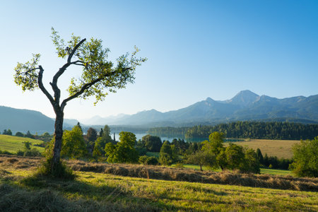 Faaker See Landscape with Mittagskogel Mountainの写真素材