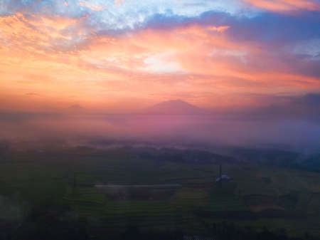 Rural view of Rice field with Mountains on the background in sunrise time. The sky is orange in...